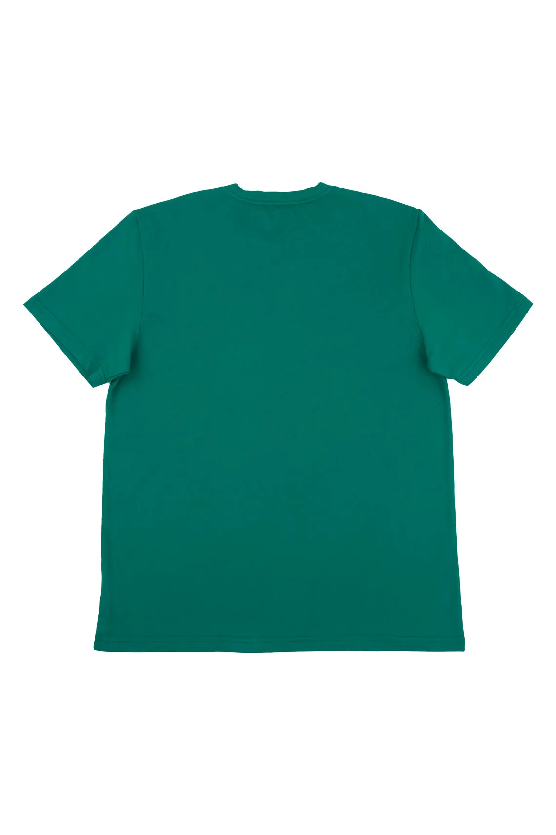 Camiseta verde cuello redondo tela tipo piqué slim estampada para hombre